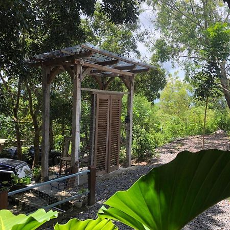 Omah Cantrik, Ethnic Java House With Nature View Jarakan 외부 사진